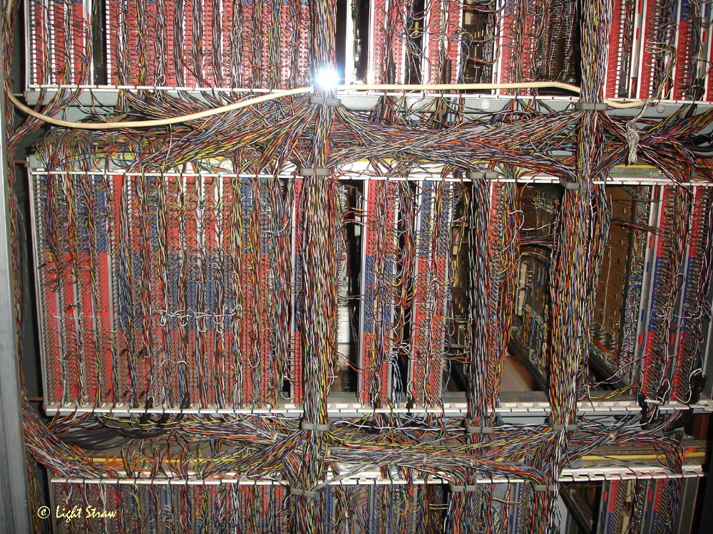 Empress wiring loom
